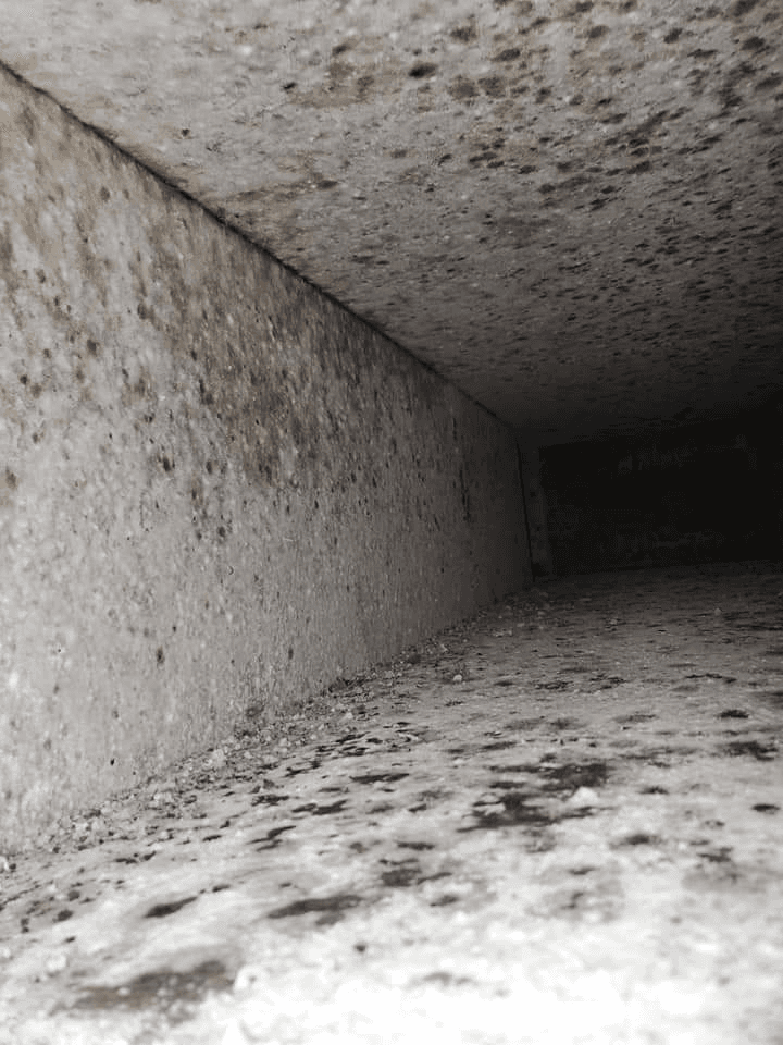 Protect Your Indoor Air Quality