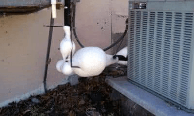 Frozen Refrigerant Lines (Outside)